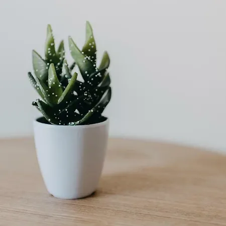 House, Nirvana, Apartamento *